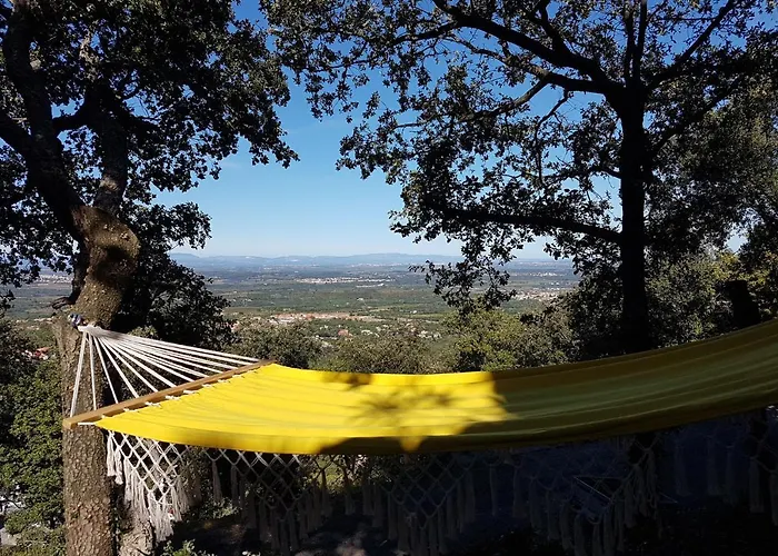 Josephine: Vue Magnifique Sur Et Montagnes בית נופש Laroque-des-Albères